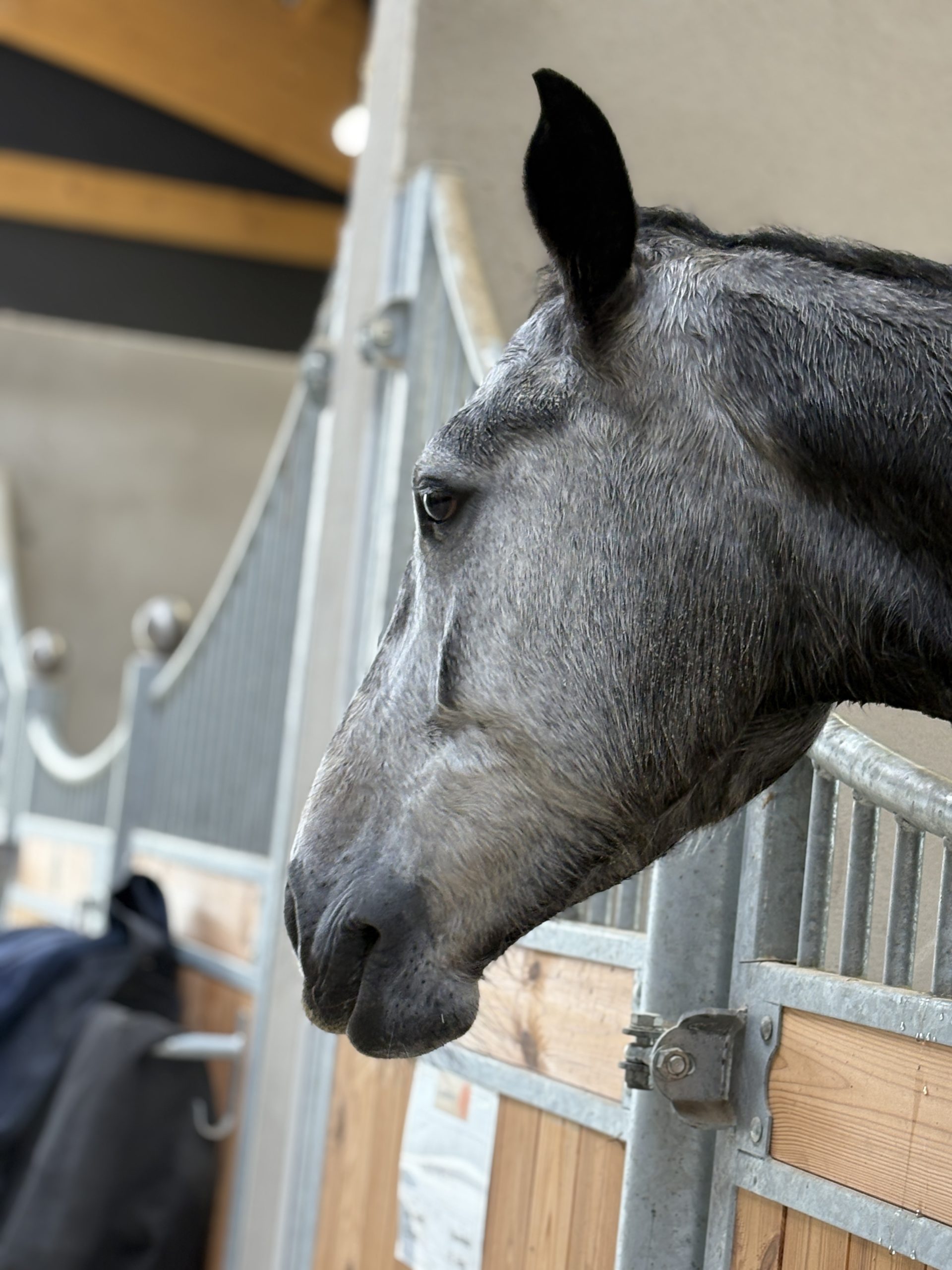 Photos du 12 décembre 2025 (1)