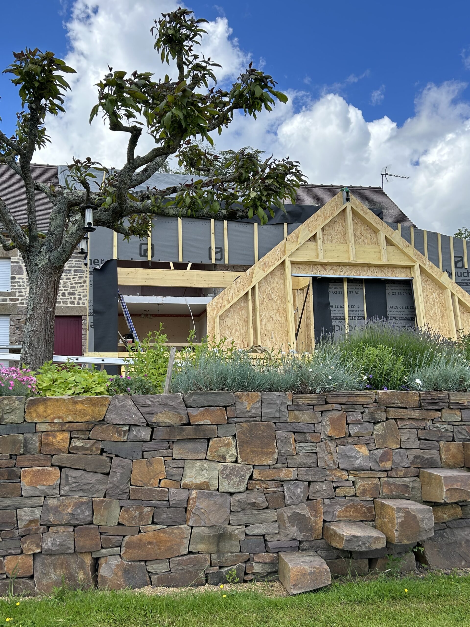 Construction maison ossature bois