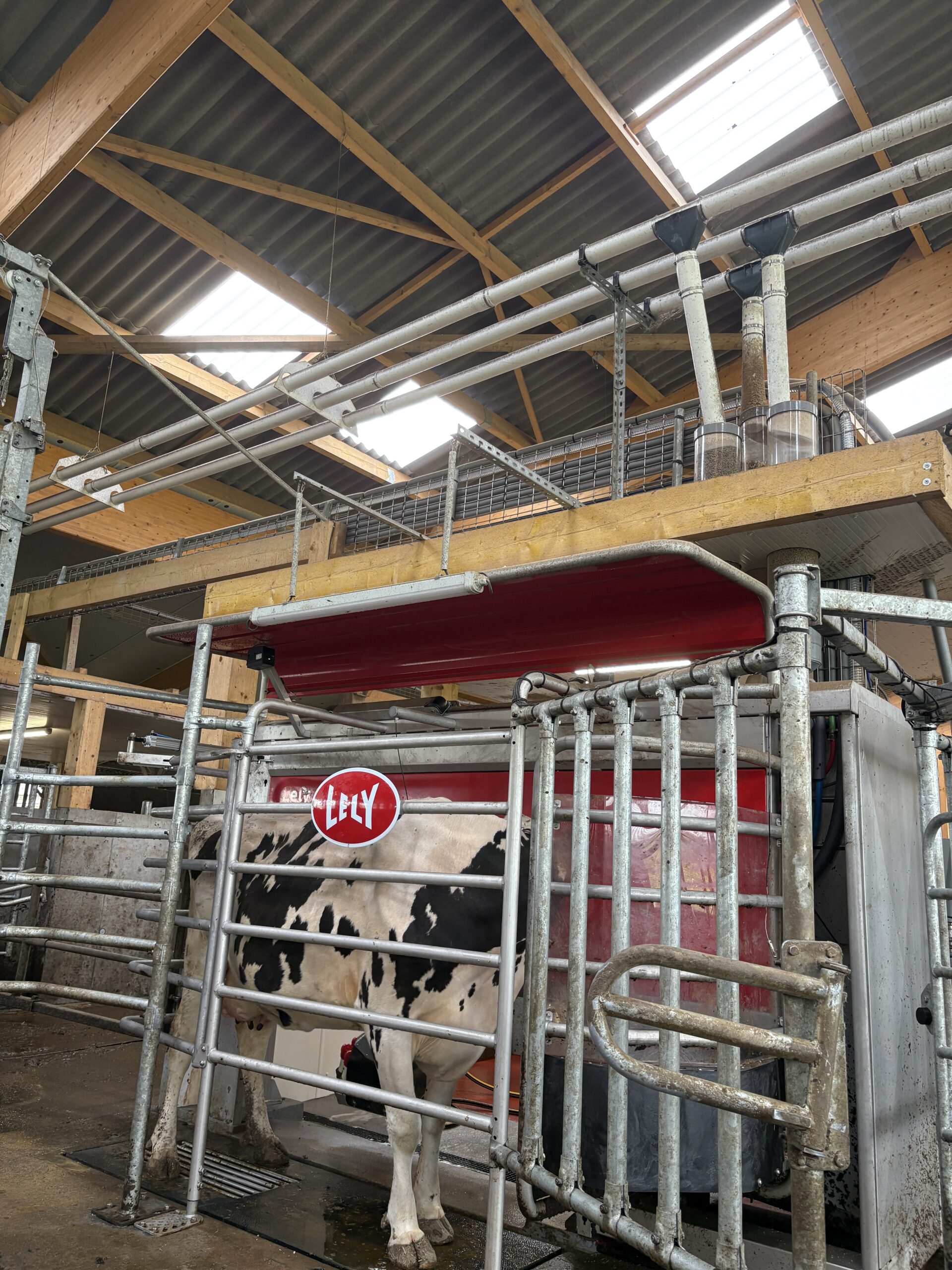 robot de traite Lely