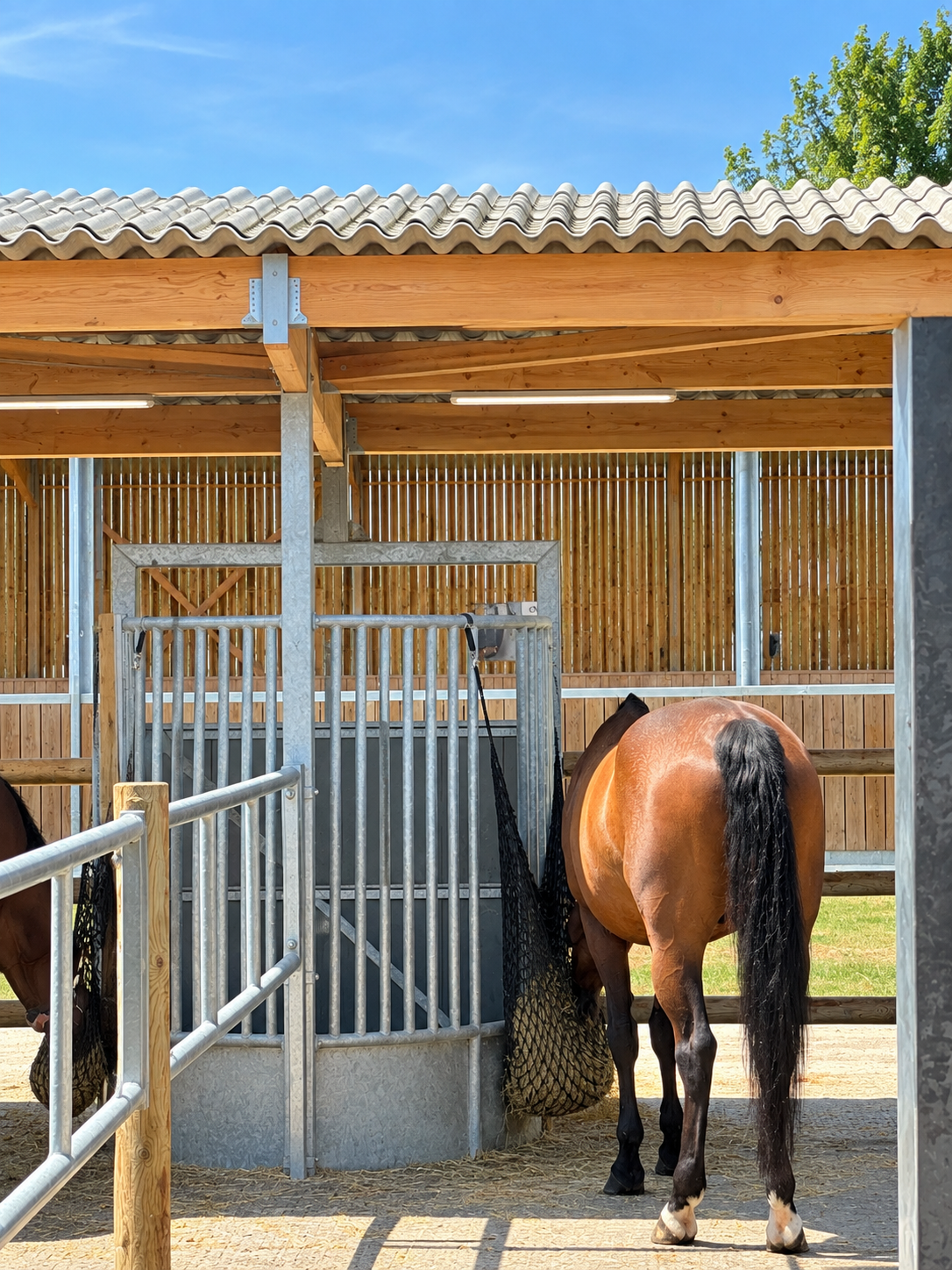 cheval dans une écurie