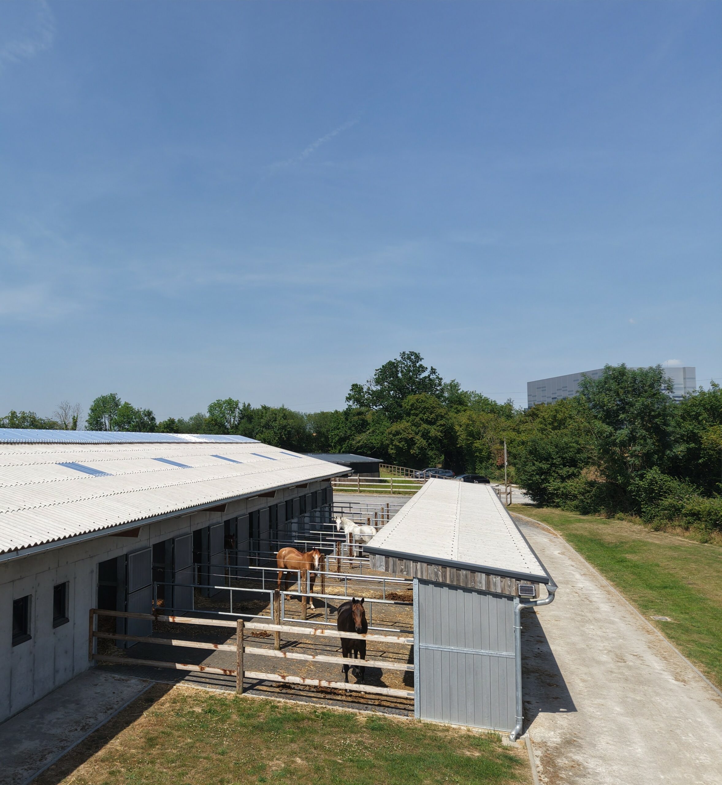 construction d&rsquo;une écurie